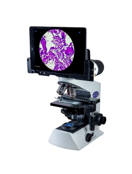 JBM-011R Upright Metallographic Microscope Specifications