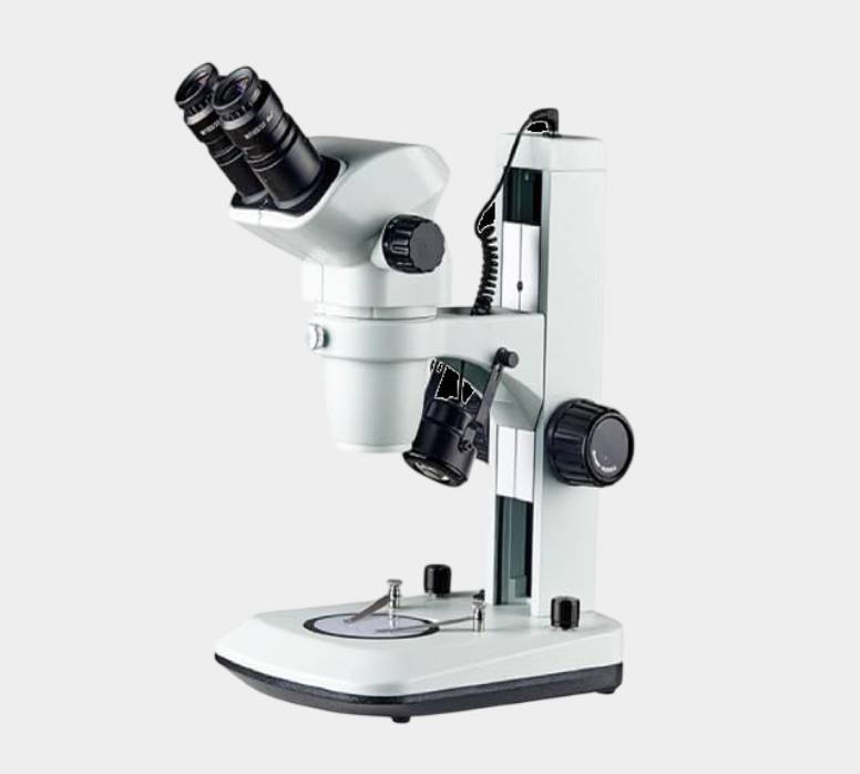 Stereo Microscope