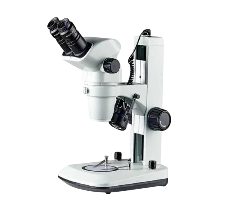 Stereo Microscope