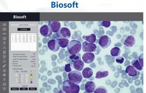 Biosoft