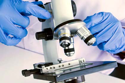 Microscope for Educational Industry